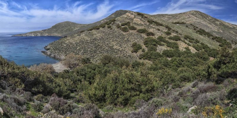 Grammata_Panorama2-2560x1280